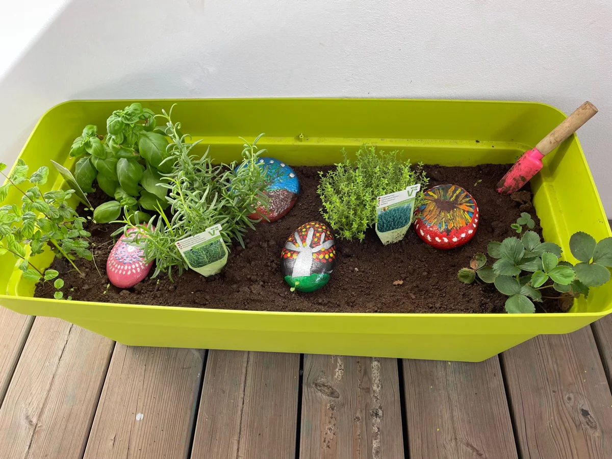 Le petit potager — Les Makis